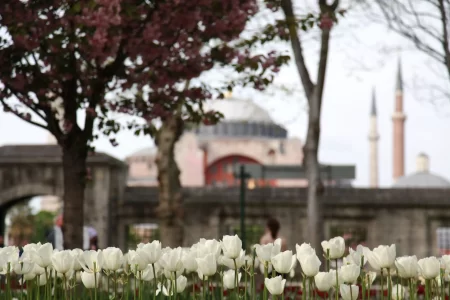 Istanbul Bursa Spring 6 Hari 5 Malam