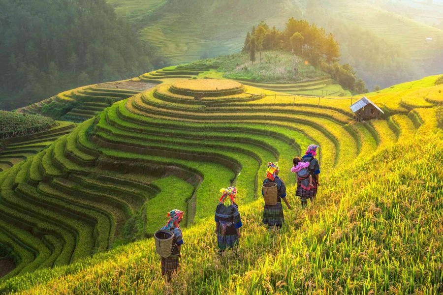 4H3M Hanoi – Sapa