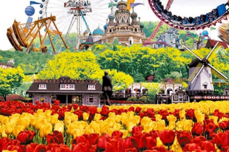 6H4M Korea + Everland Theme Park Autumn (Tour Code :  SK: KO-EVERLAND6H4M)